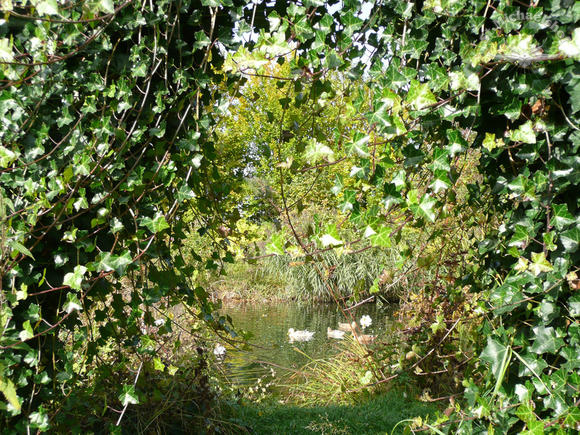 Gartenzauber