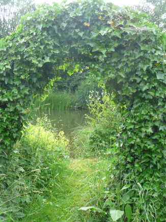 P1020327.jpg