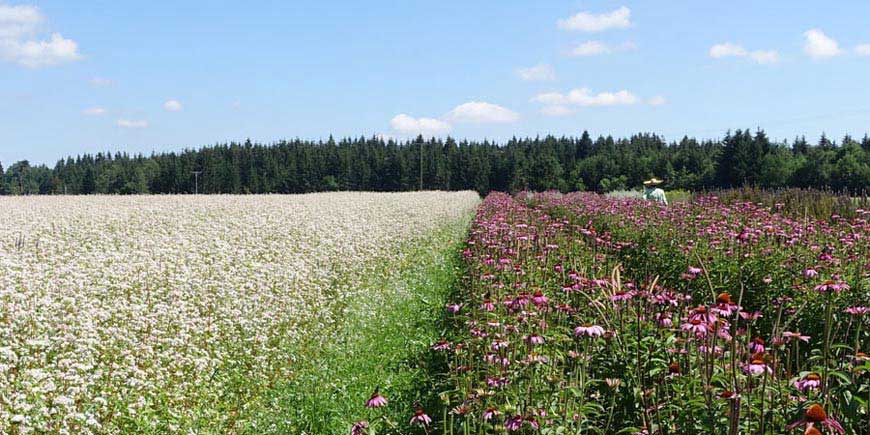 Produkt übersichtsbild