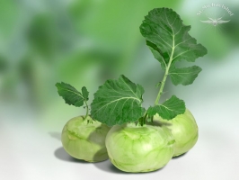 Kohlrabi