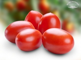 Eiertomaten