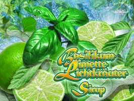 Bio Basilikum-Limette-Lichtkräuter-Sirup