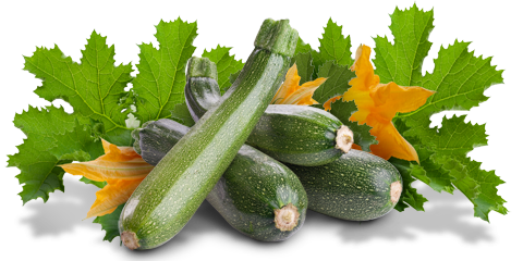 Rezepte mit Zucchini