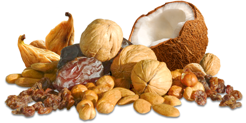 Bio Nüsse & Bio Trockenfrüchte