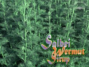 Salbei Wermut Sirup