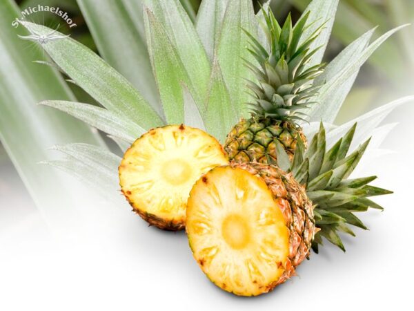 Ananas – Bild 2