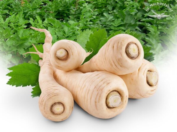 Pastinake