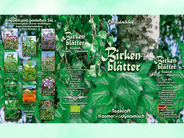 Bio Birkenblätter getr. – Bild 3