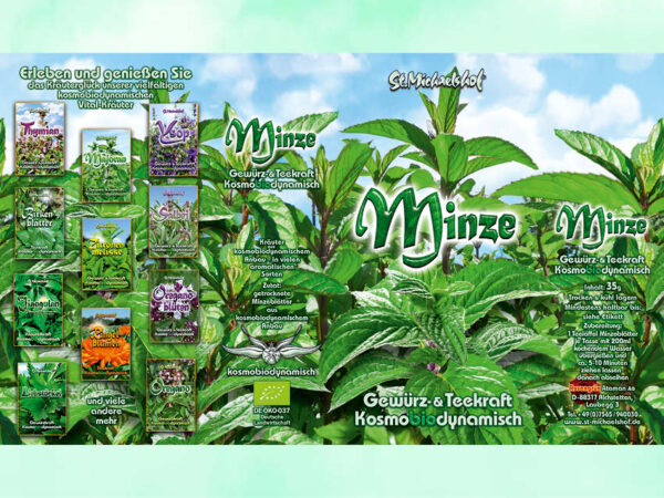 Bio Minze getr. – Bild 3