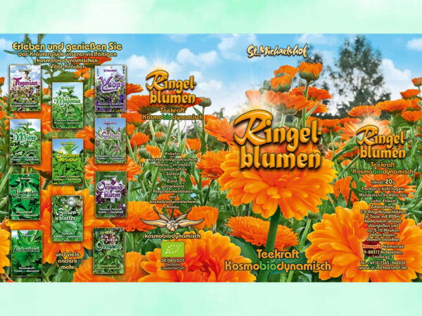Bio Ringelblumen getr. – Bild 3