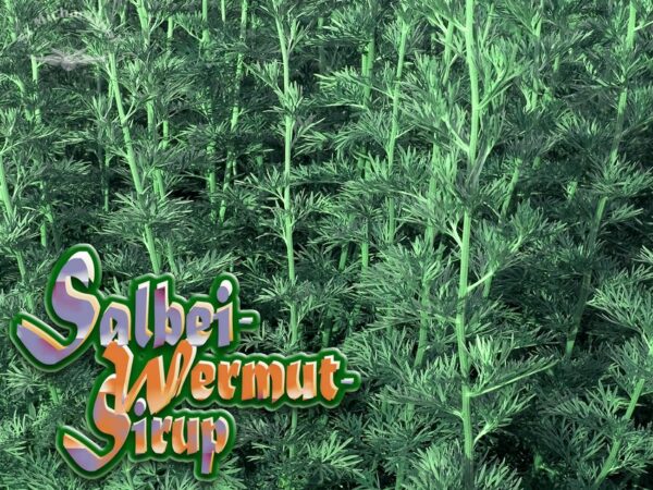 Bio Salbei-Wermut-Sirup "Wermutino" – Bild 2