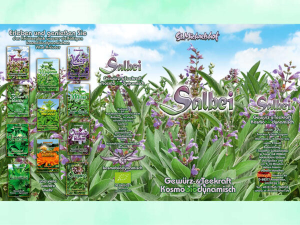 Bio Salbei getr. – Bild 3