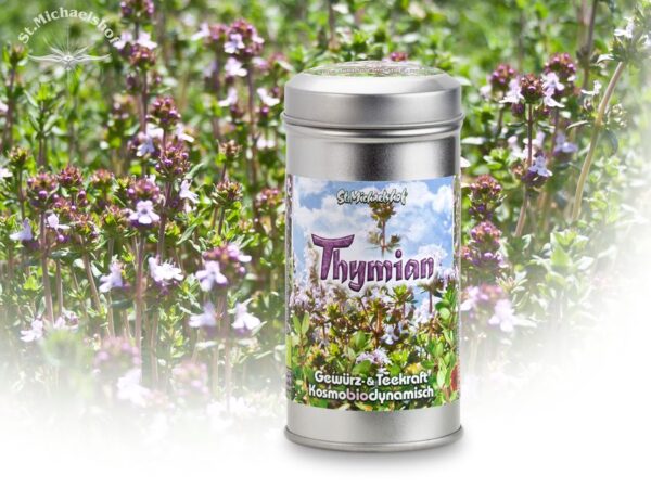 Bio Thymian getr. – Bild 2