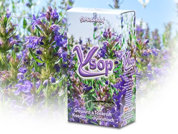 Bio Ysop getr. – Bild 2
