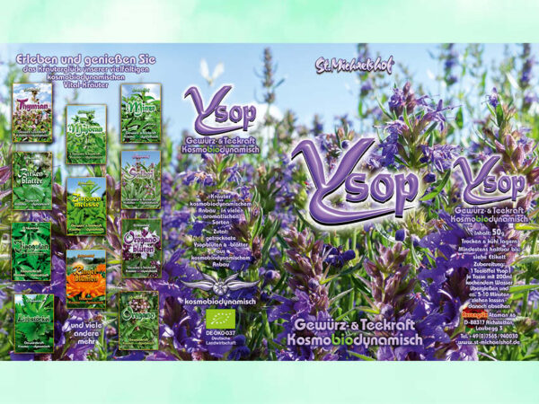 Bio Ysop getr. – Bild 3