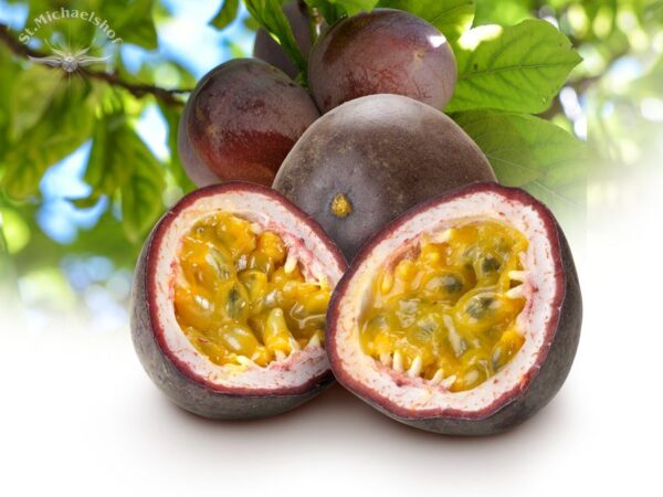 Passionsfrucht – Bild 2
