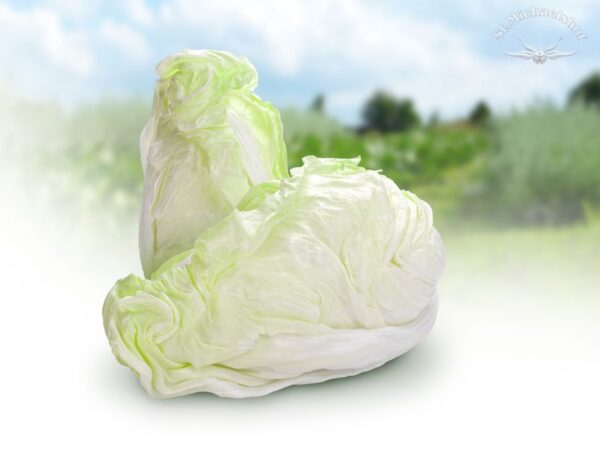 Zuckerhut