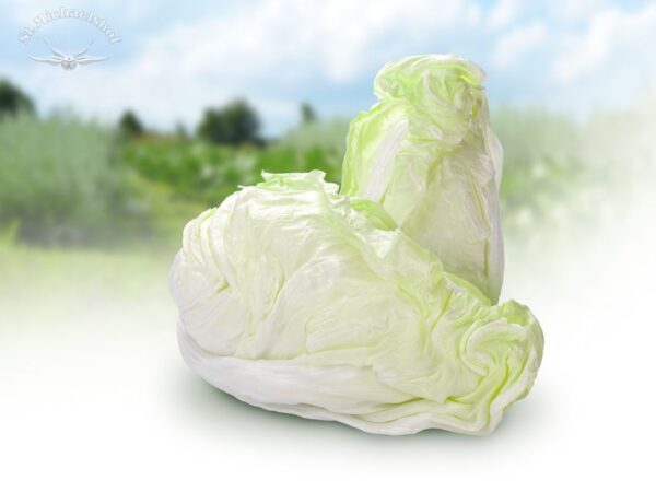 Zuckerhut – Bild 2