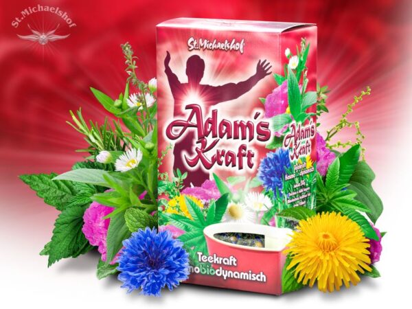 Adam's Kraft – Bild 2