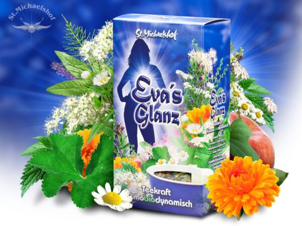 Eva's Glanz – Bild 2