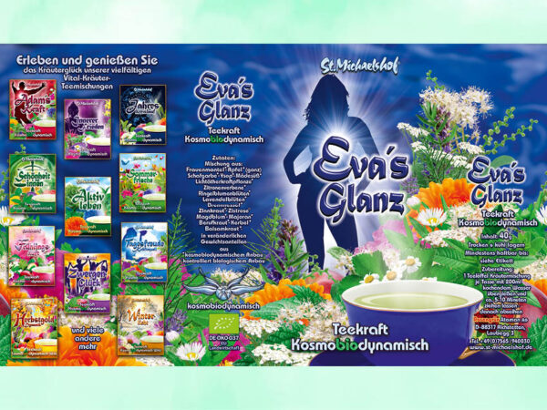 Eva's Glanz – Bild 3