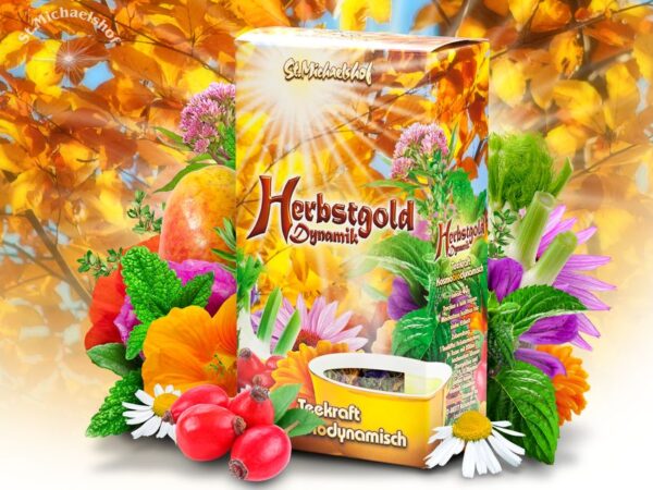 Herbstgold Dynamik – Bild 2