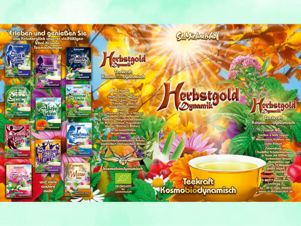 Herbstgold Dynamik – Bild 3