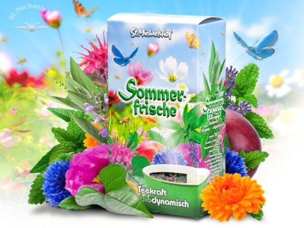 Sommerfrische – Bild 2