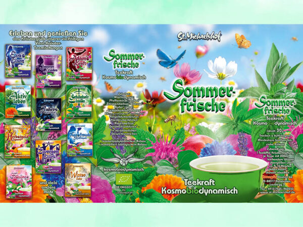 Sommerfrische – Bild 3