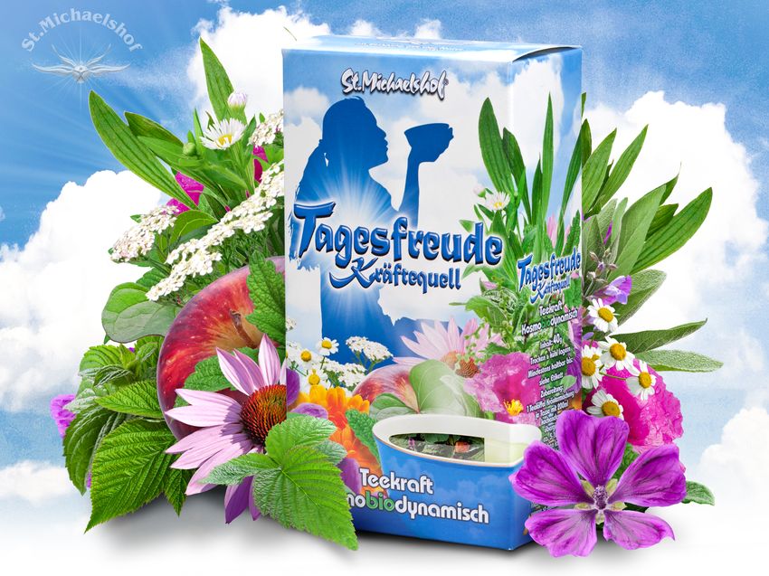 Tagesfreude Kräftequell – Bild 2