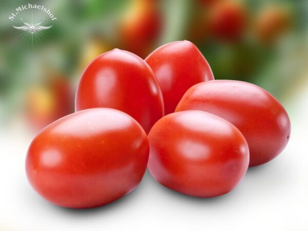 Eiertomaten – Bild 2