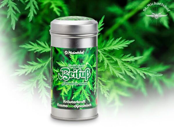 Bio Beifuß, einjährig getr.