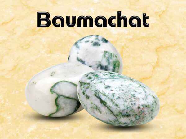 Baumachat – Bild 2