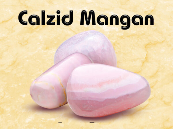 Calzid Mangan – Bild 2