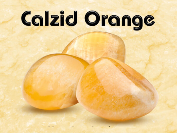 Calzid Orange – Bild 2