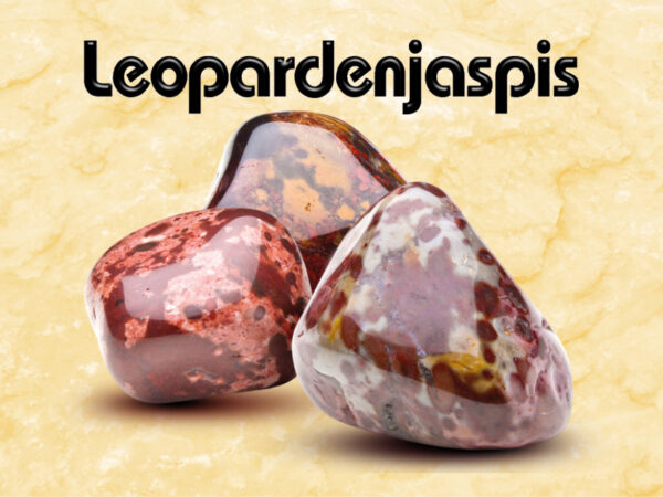 Leopardenjaspis – Bild 2