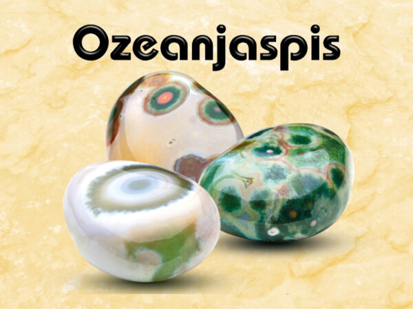 Ozeanjaspis – Bild 2