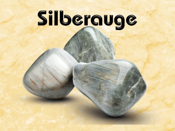 Silberauge – Bild 2