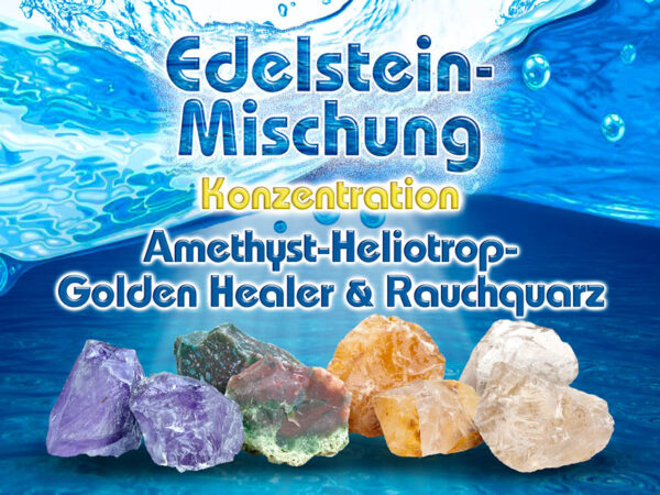Konzentration – Bild 2