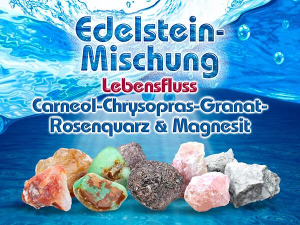 Lebensfluss – Bild 2