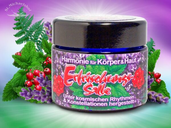 Erfrischungs-Salbe – Bild 2