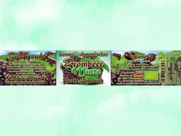Bio Brombeer-Minze Frucht-Aufstrich – Bild 4