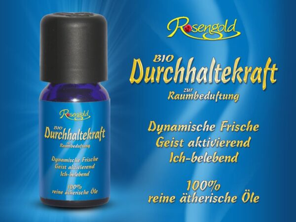 Durchhaltekraft Bio äth. Öl