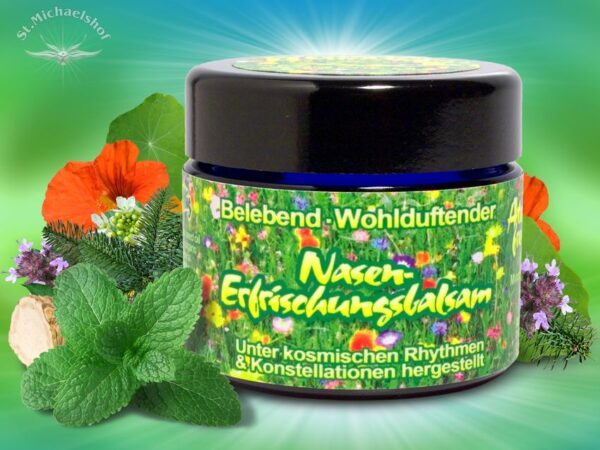 Nasen-Erfrischungsbalsam – Bild 2