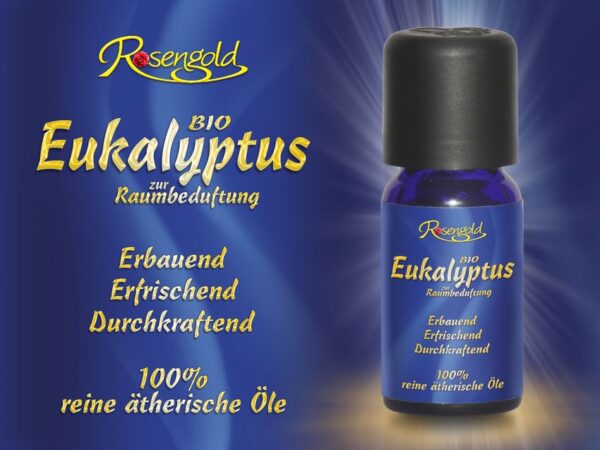 Eukalyptus Bio äth. Öl – Bild 2