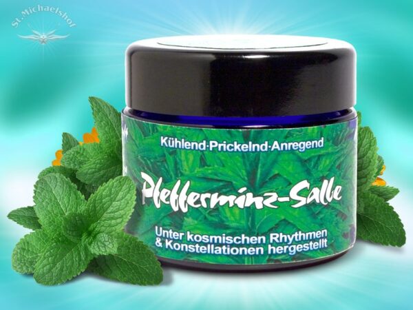 Pfefferminz-Salbe – Bild 2