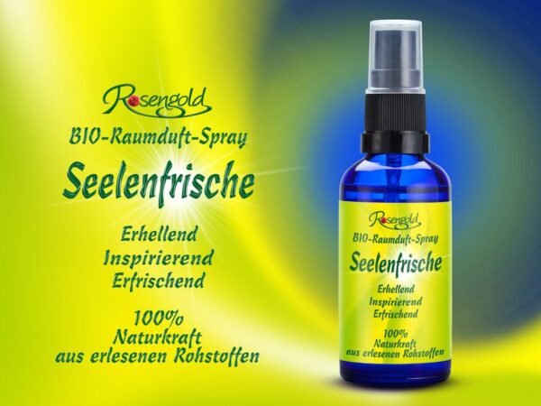 Seelenfrische Bio-Raumduft-Spray – Bild 2