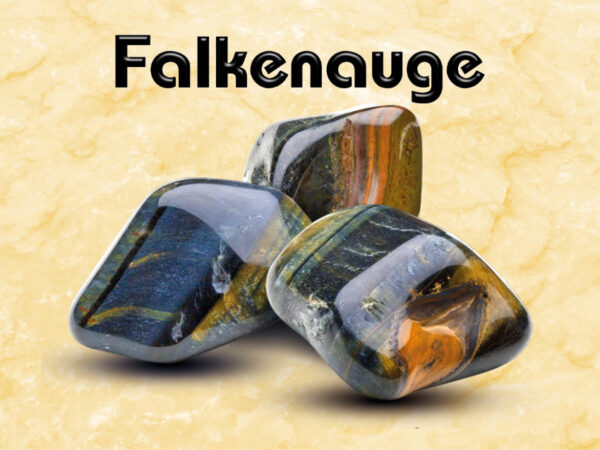 Falkenauge – Bild 2