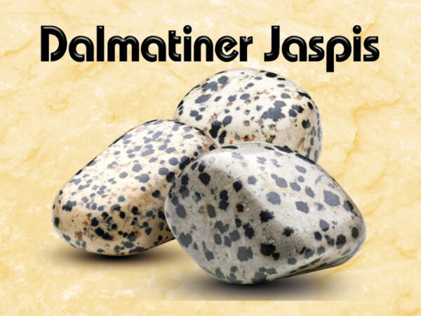 Dalmatiner Jaspis – Bild 2
