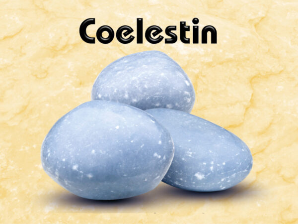 Coelestin – Bild 2